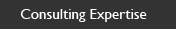 Consulting Expertise