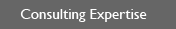 Consulting Expertise