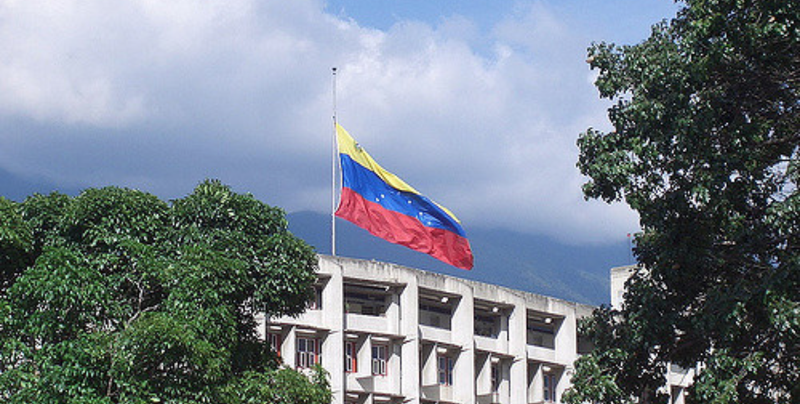 Venezuelan Flag