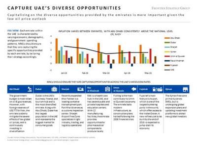 Capture UAE's Diverse Opportunities
