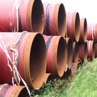 Countervailing Forces Likely to Keep Oil Prices Relatively Stable in 2017