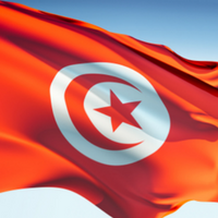 Business in Tunisia: Prepare for challenging conditions in 2018