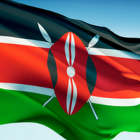 How to capture public sector opportunities in Kenya