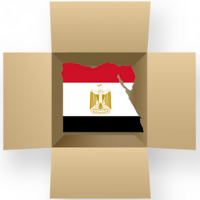 Distribution management in Egypt: Increase competitiveness with a capabilities-based approach